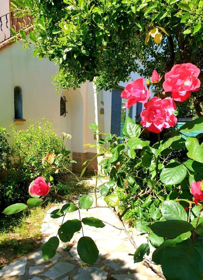 Studio Au Calme Tout Confort Proche Des Plages - Jardin Wifi Parking Fréjus Kültér fotó